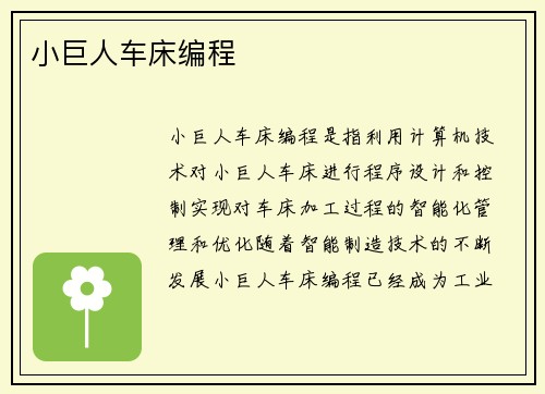 小巨人车床编程